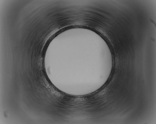 X0000100851029200807181051