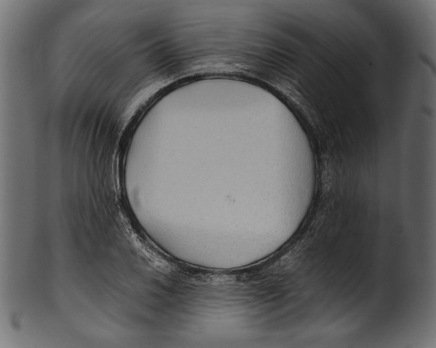 X0000100851030200807181051
