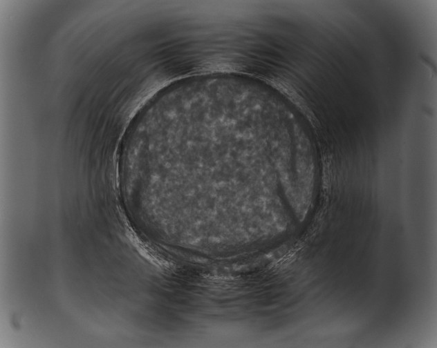 X0000100851031200807181051