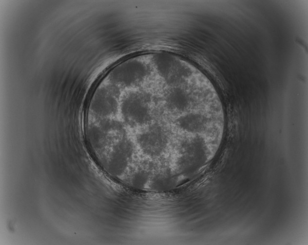 X0000100851032200807181051