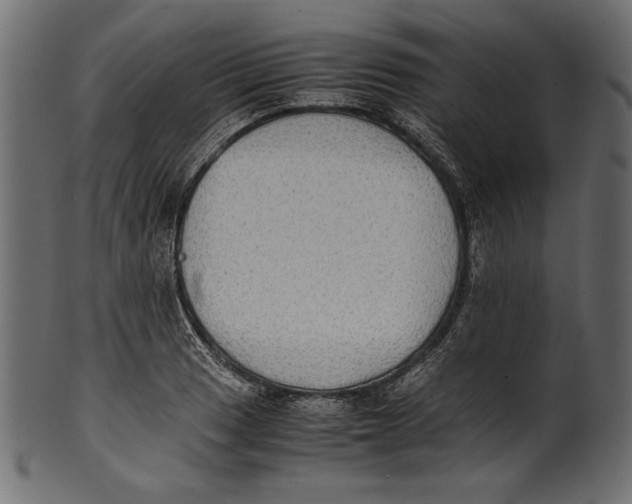 X0000100851033200807181051