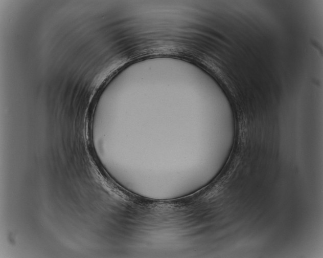 X0000100851034200807181051