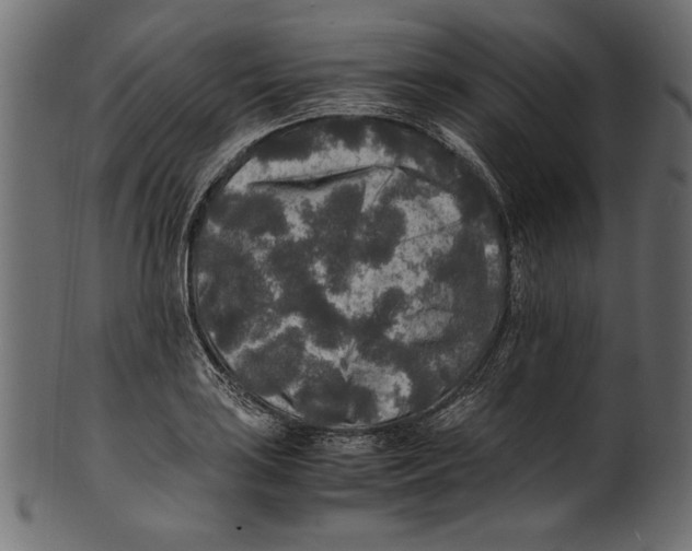 X0000100851035200807181051