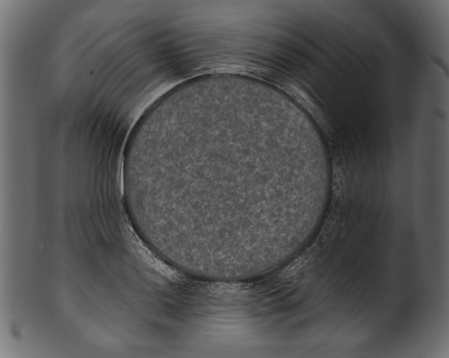 X0000100851036200807181051