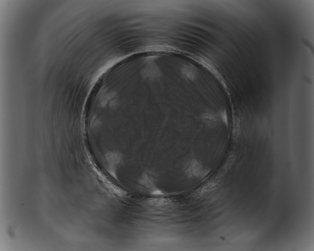X0000100851037200807181052