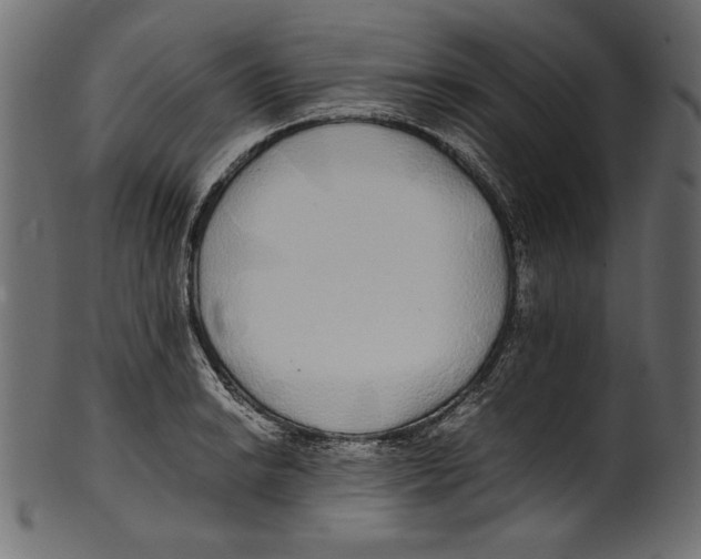 X0000100851038200807181052