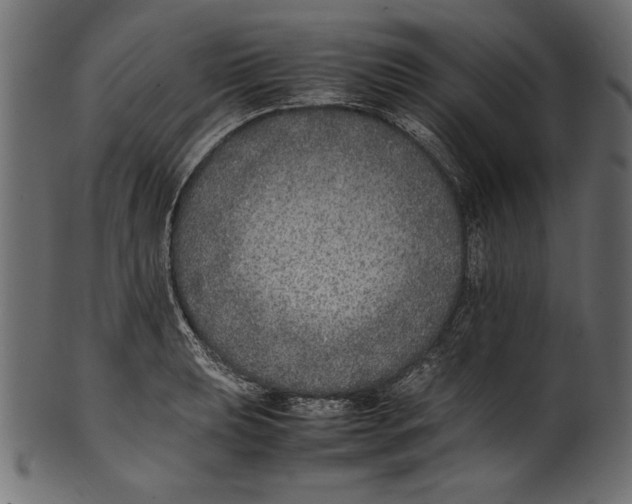 X0000100851039200807181052