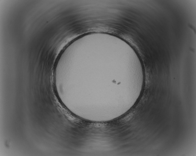 X0000100851040200807181052