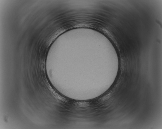 X0000100851041200807181052