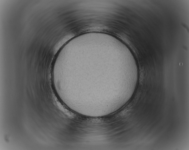 X0000100851042200807181052