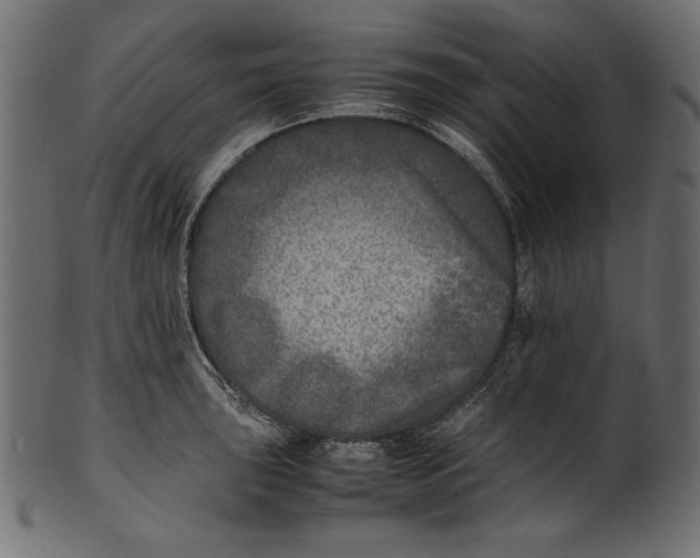 X0000100851043200807181052