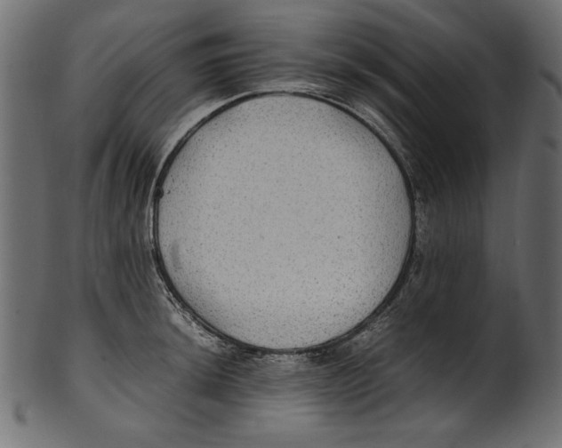 X0000100851044200807181052
