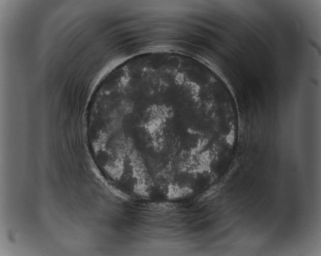 X0000100851045200807181052