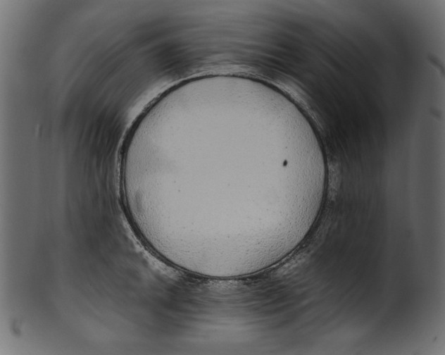 X0000100851046200807181052