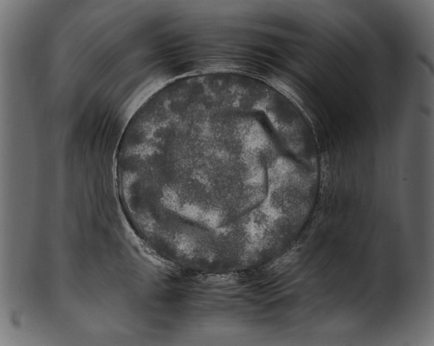 X0000100851047200807181052