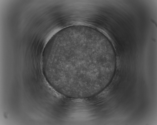 X0000100851048200807181052