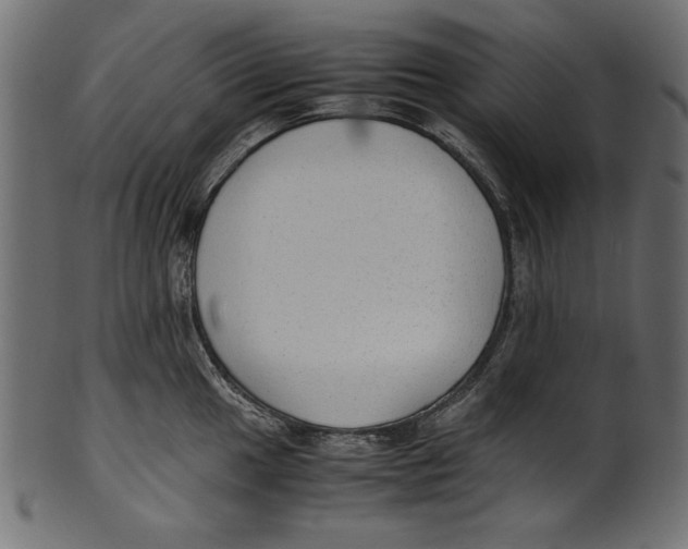 X0000100851049200807181052