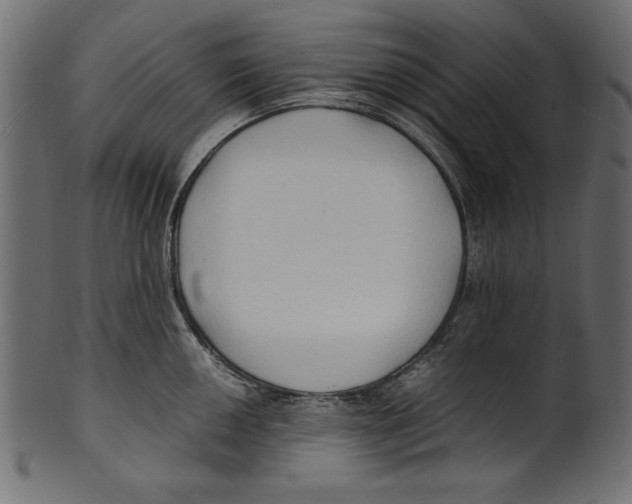 X0000100851050200807181052