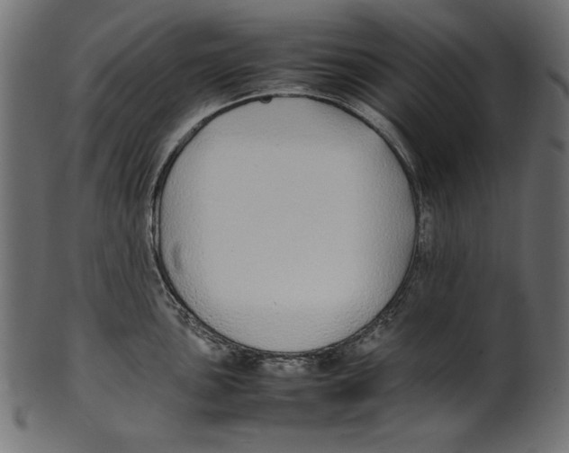 X0000100851051200807181052