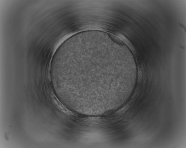 X0000100851052200807181052