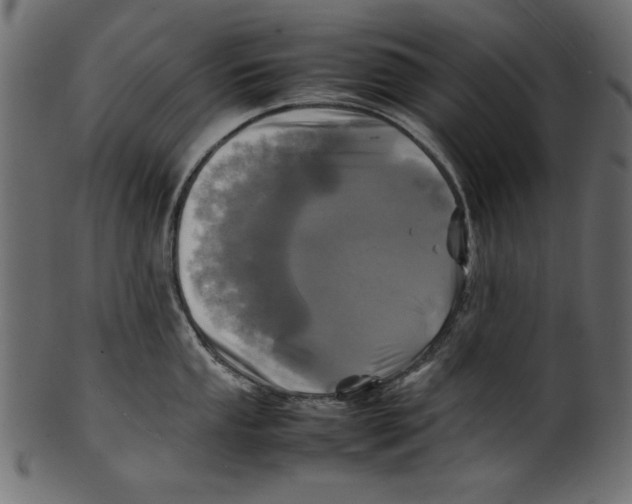 X0000100851053200807181052