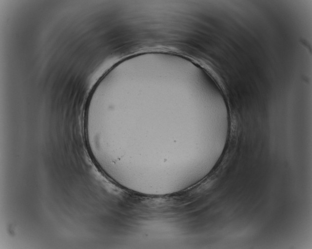 X0000100851054200807181052