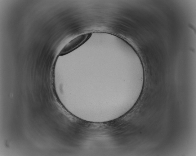 X0000100851056200807181052