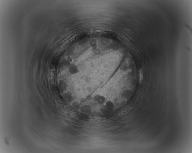 X0000100851059200807181051