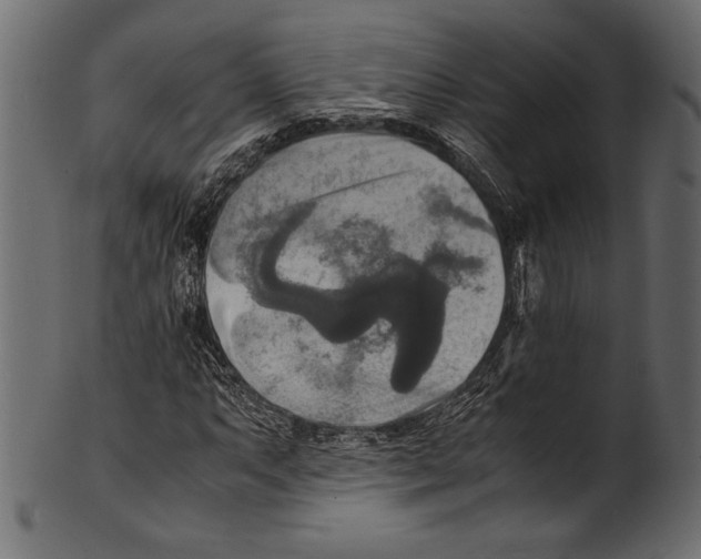 X0000100851063200807181051