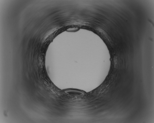 X0000100851064200807181051
