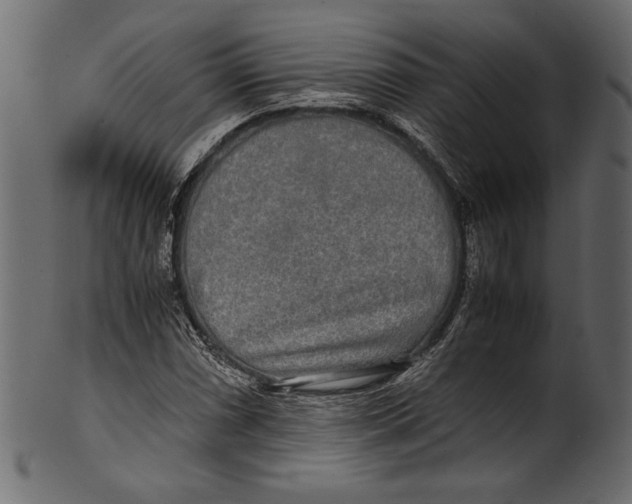 X0000100851066200807181051