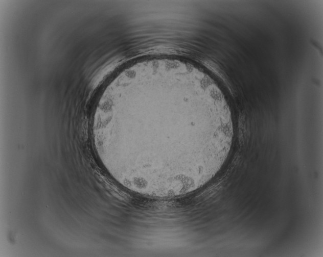 X0000100851067200807181051