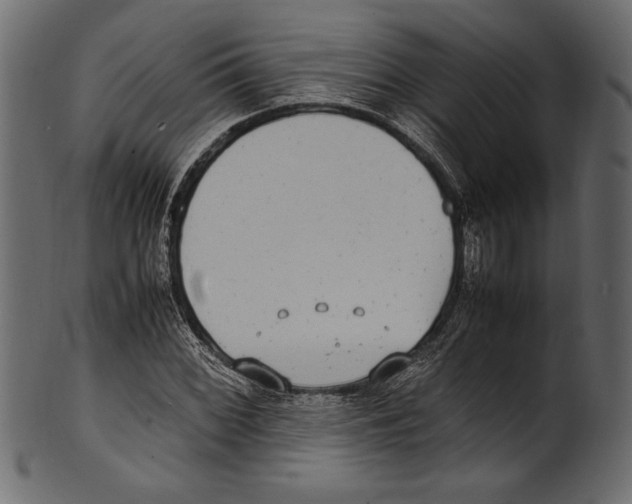 X0000100851068200807181051