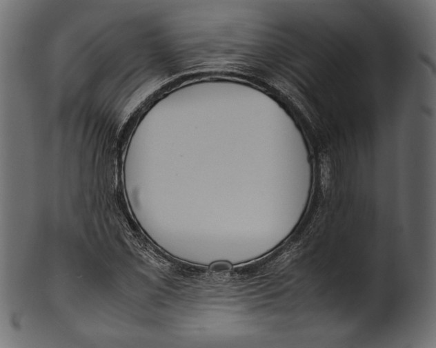 X0000100851069200807181051