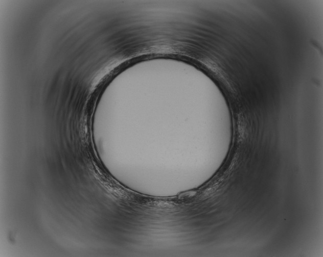 X0000100851070200807181051