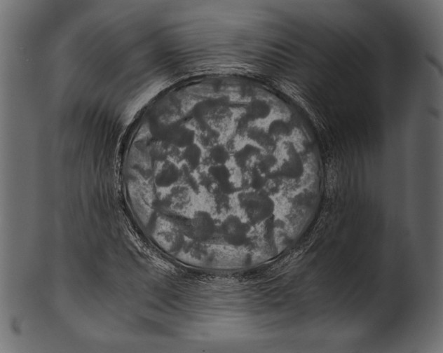 X0000100851071200807181051