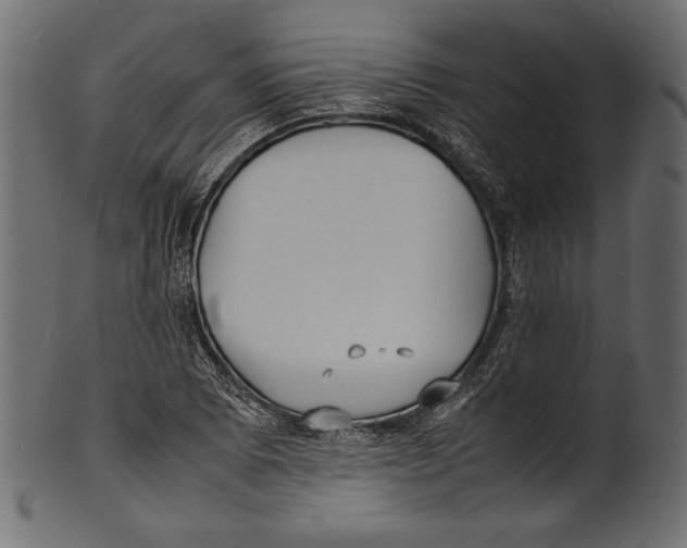 X0000100851073200807181051