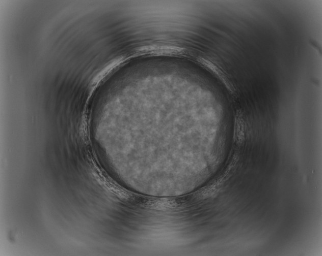 X0000100851074200807181051