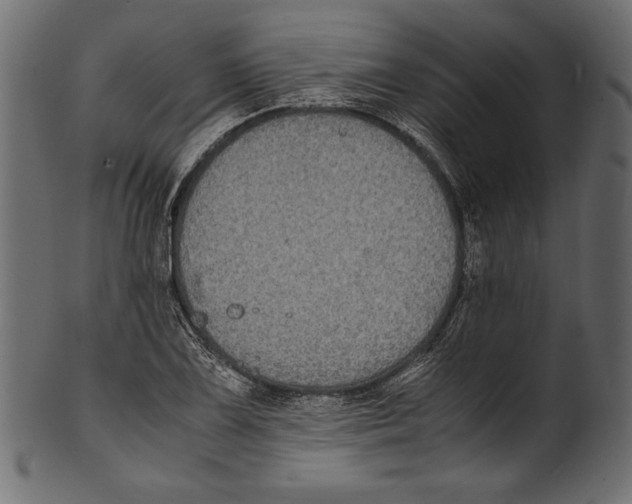 X0000100851075200807181051