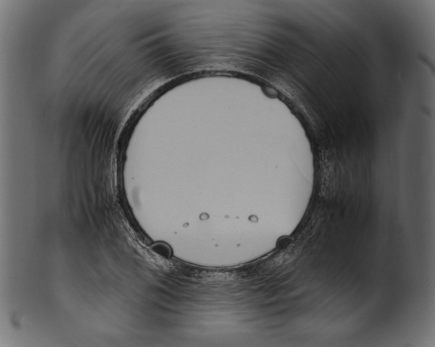 X0000100851076200807181051
