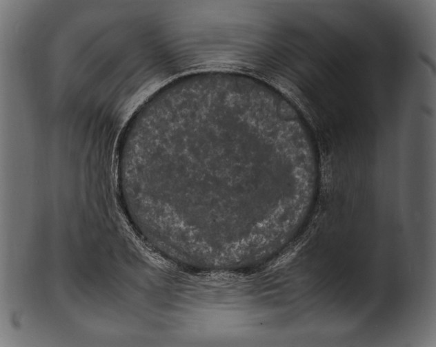 X0000100851077200807181051