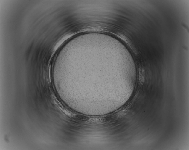 X0000100851078200807181051