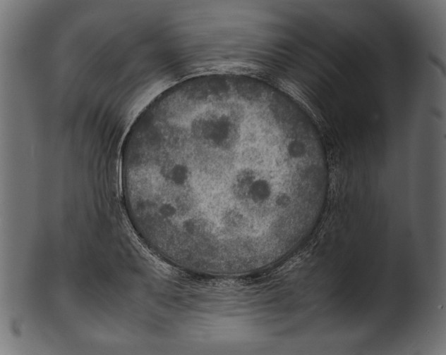 X0000100851079200807181051