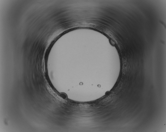 X0000100851080200807181051