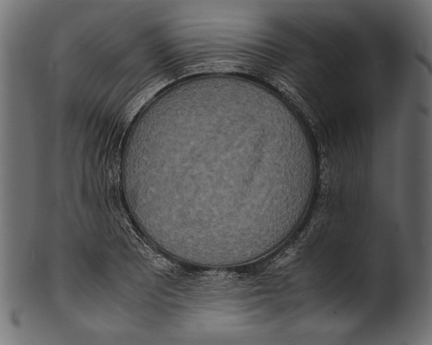 X0000100851081200807181051