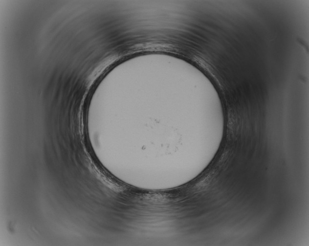 X0000100851082200807181051
