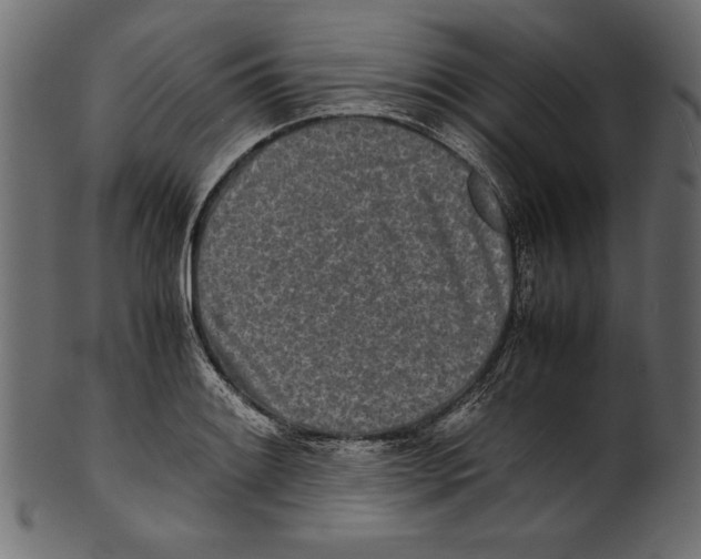 X0000100851084200807181051
