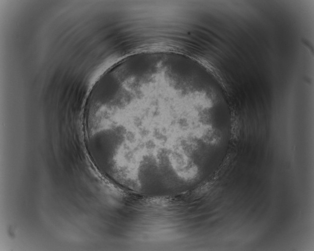 X0000100851086200807181051