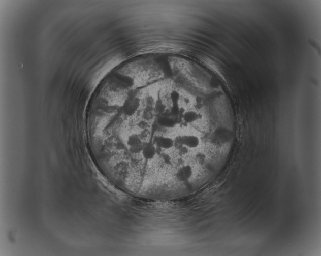 X0000100851087200807181051
