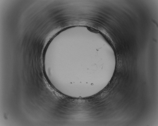 X0000100851088200807181051